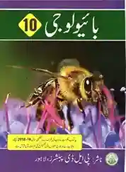 Bio-UM